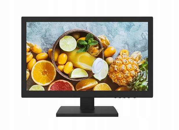 19" Hikvision Monitor DS-D5019QE-B