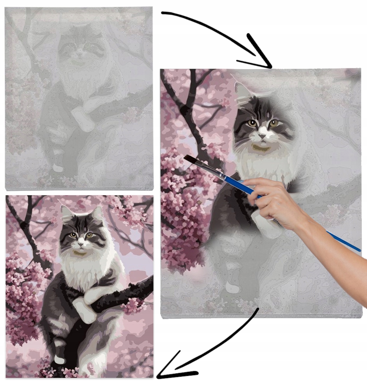 Obraz MALOWANIE PO NUMERACH ZE ZDJĘCIA RAMA DZIECI KOT NA PREZENT 40x50cm Szerokość produktu 40 cm