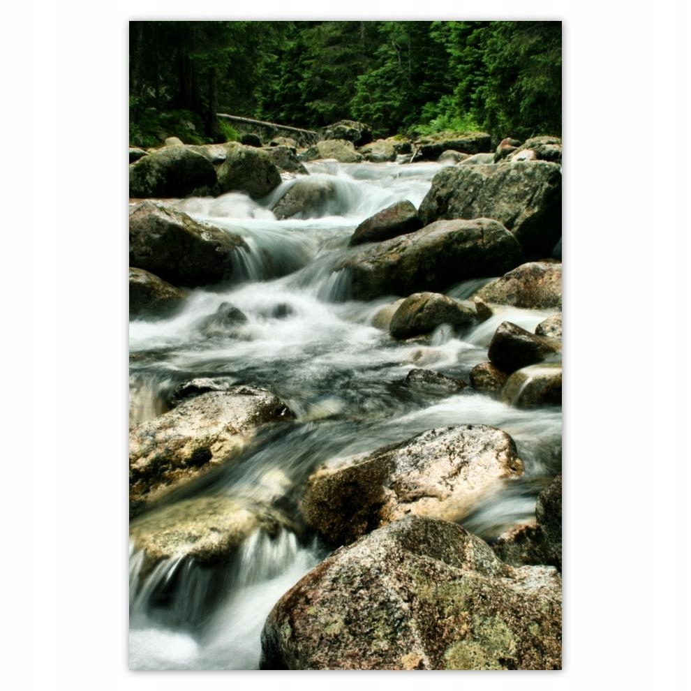 

Plakat 62x93 Tatry Polskie góry Widok