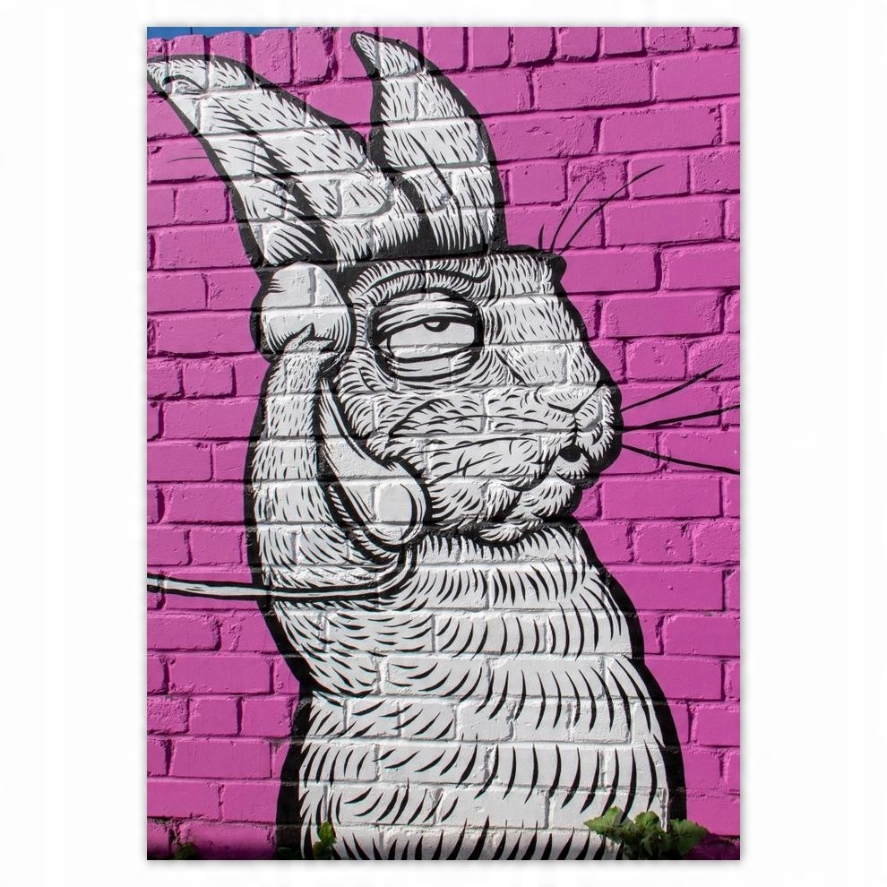 

Naklejki 50x70 Graffiti Sztuka uliczna
