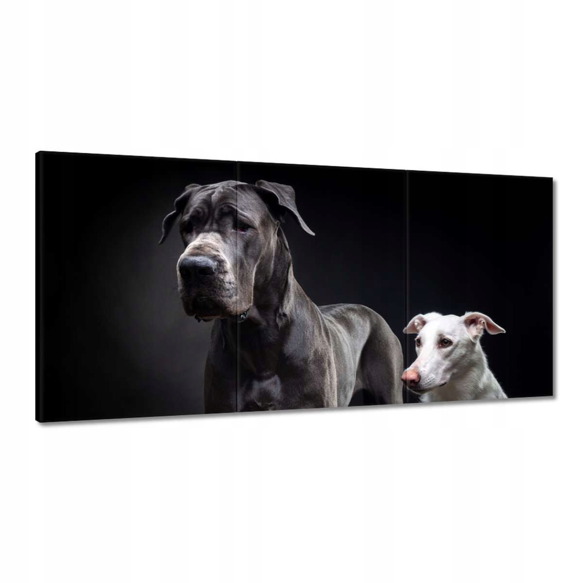 Obrazy 180x90 Dog Nemecký psík