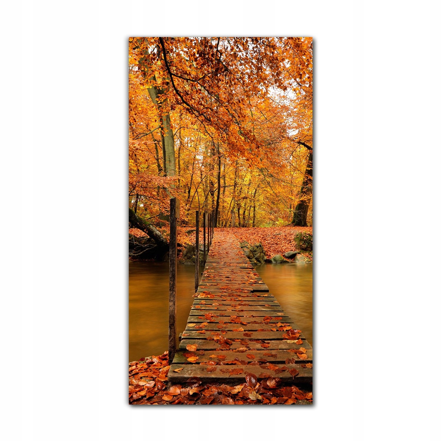 

Foto-obraz na szkle do kuchni 70x140 Jesień drzewa