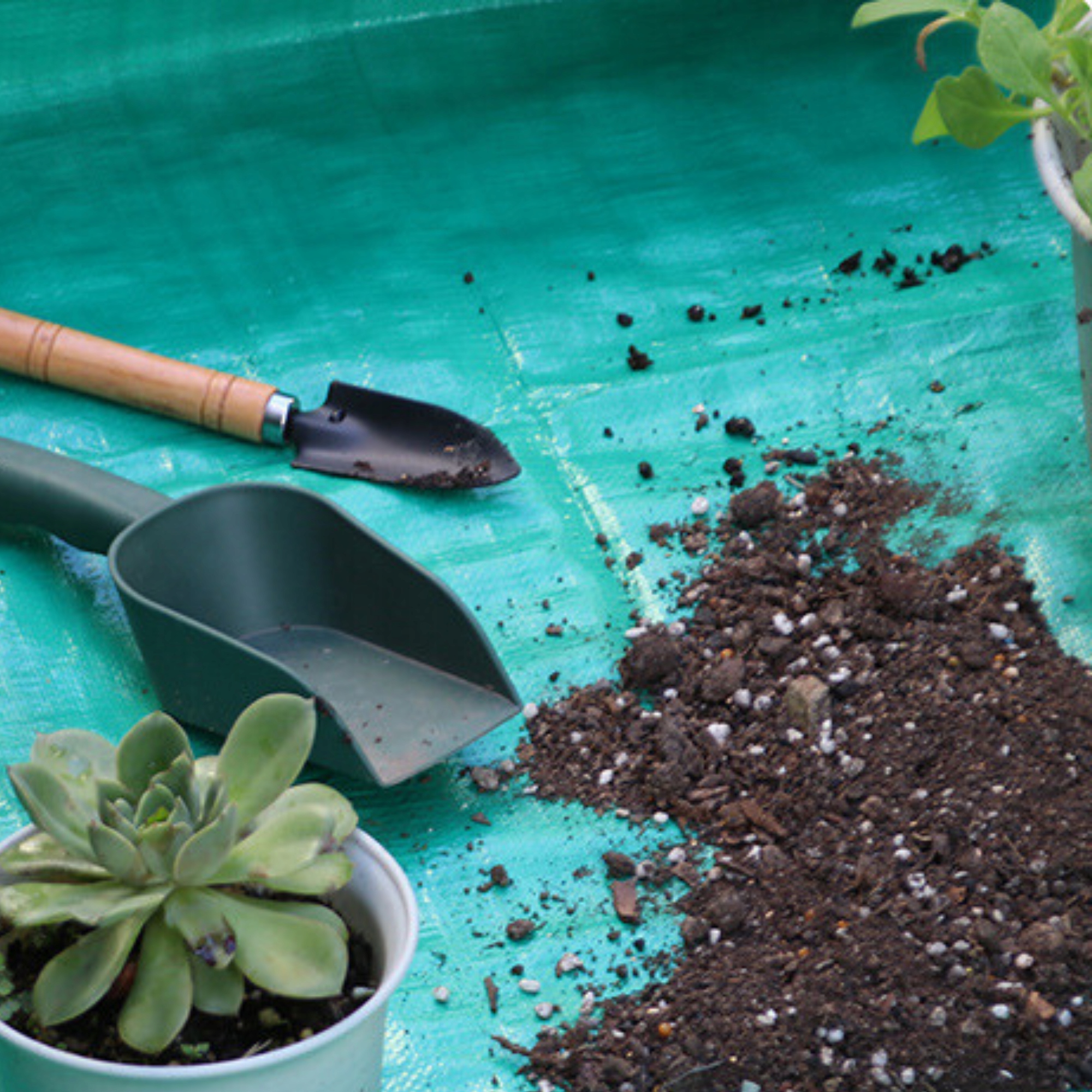 MATA DO PRZESADZANIA ROŚLIN ROZSADU KWIATÓW PODKŁADKA OGRODNICZA OSŁONA 66 Materiał dominujący tworzywo sztuczne