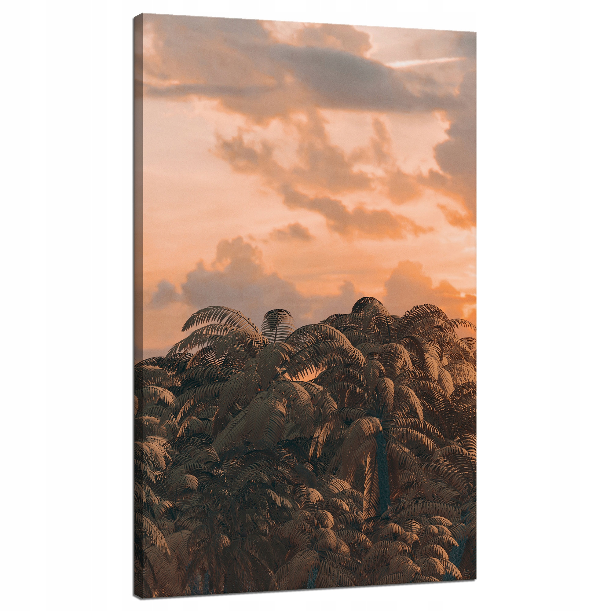 Obraz na plátně Stromy Západ Slunce Mraky Nebe 70x120 cm