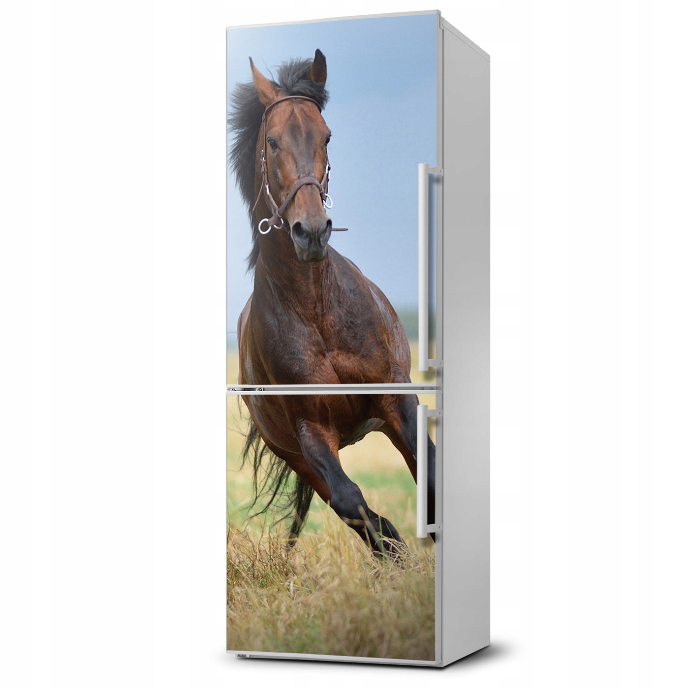 

Foto Magnes na lodówkę Koń na polu 60x180