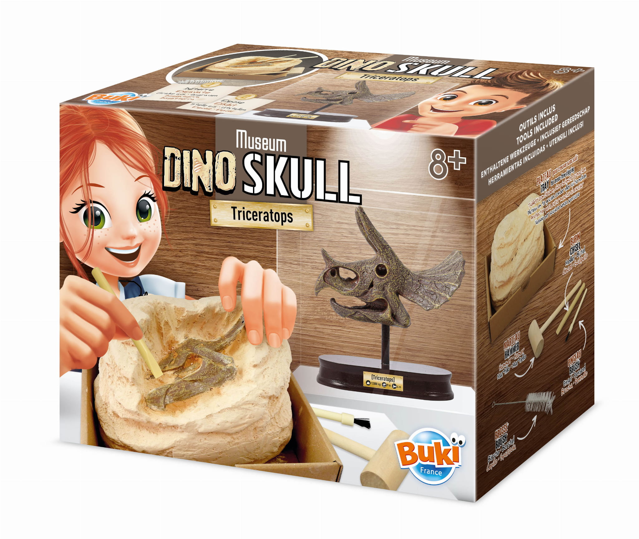 

Buki zestaw Muzeum Czaszek dinozaur Triceratops