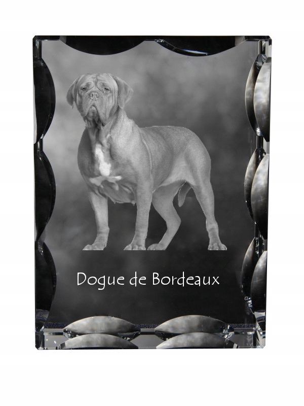 Dog z Bordeaux fotografia psa v ozdobnom kryštáli, suvenír, dekorácia domu