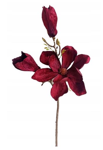 

Magnolia gałązka Welur sztuczny kwiat Bordowy 60cm