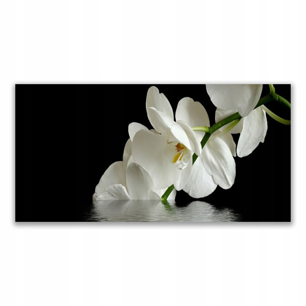 

Obraz nowoczesny 120x60 Orchidea w Wodzie Kwiaty
