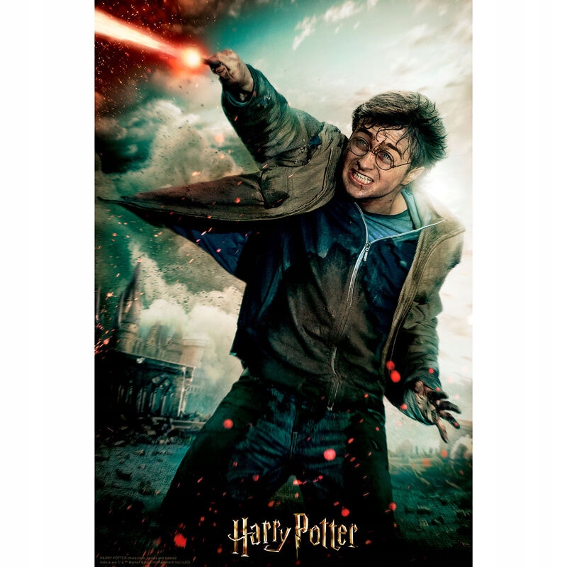 

Puzzle 3D Bitwa 300el Harry Potter 231