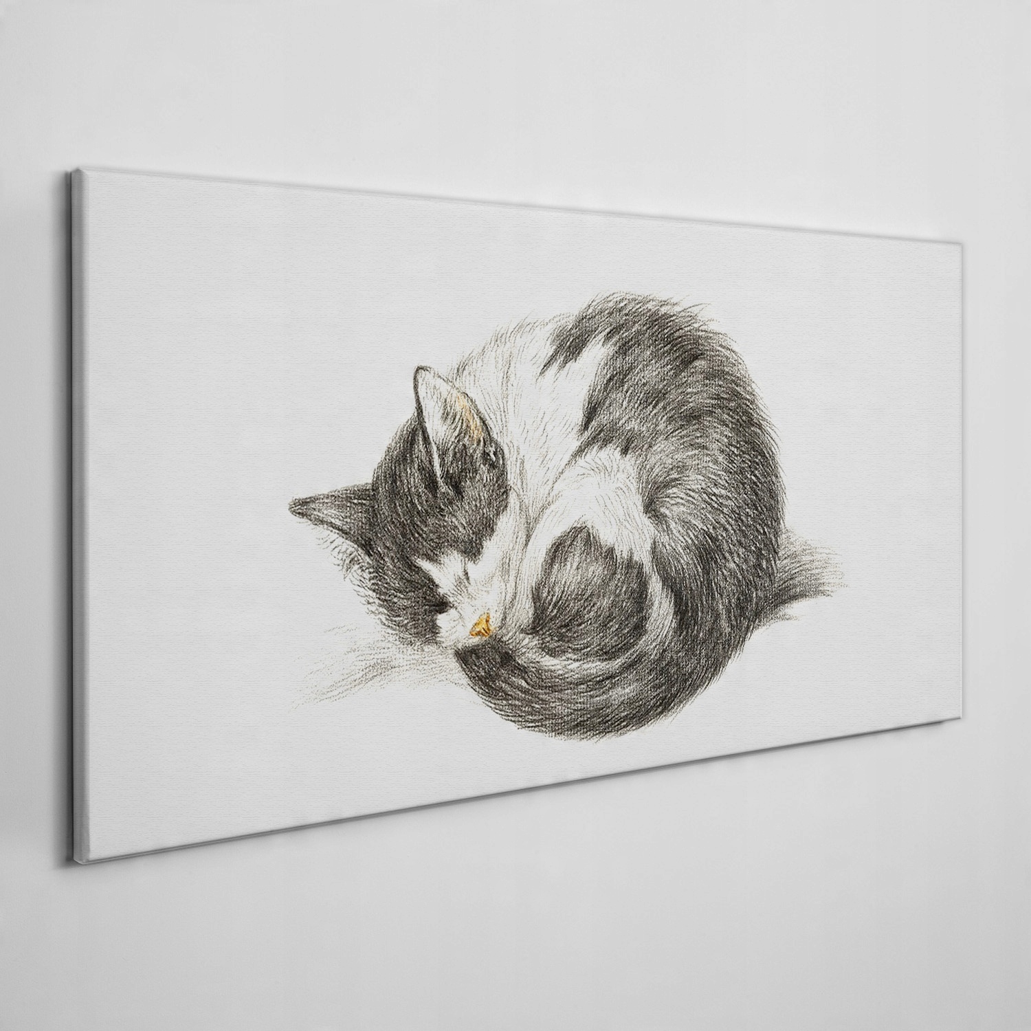 

Obraz na płótnie na ramie Zwierzę kot 140x70 cm