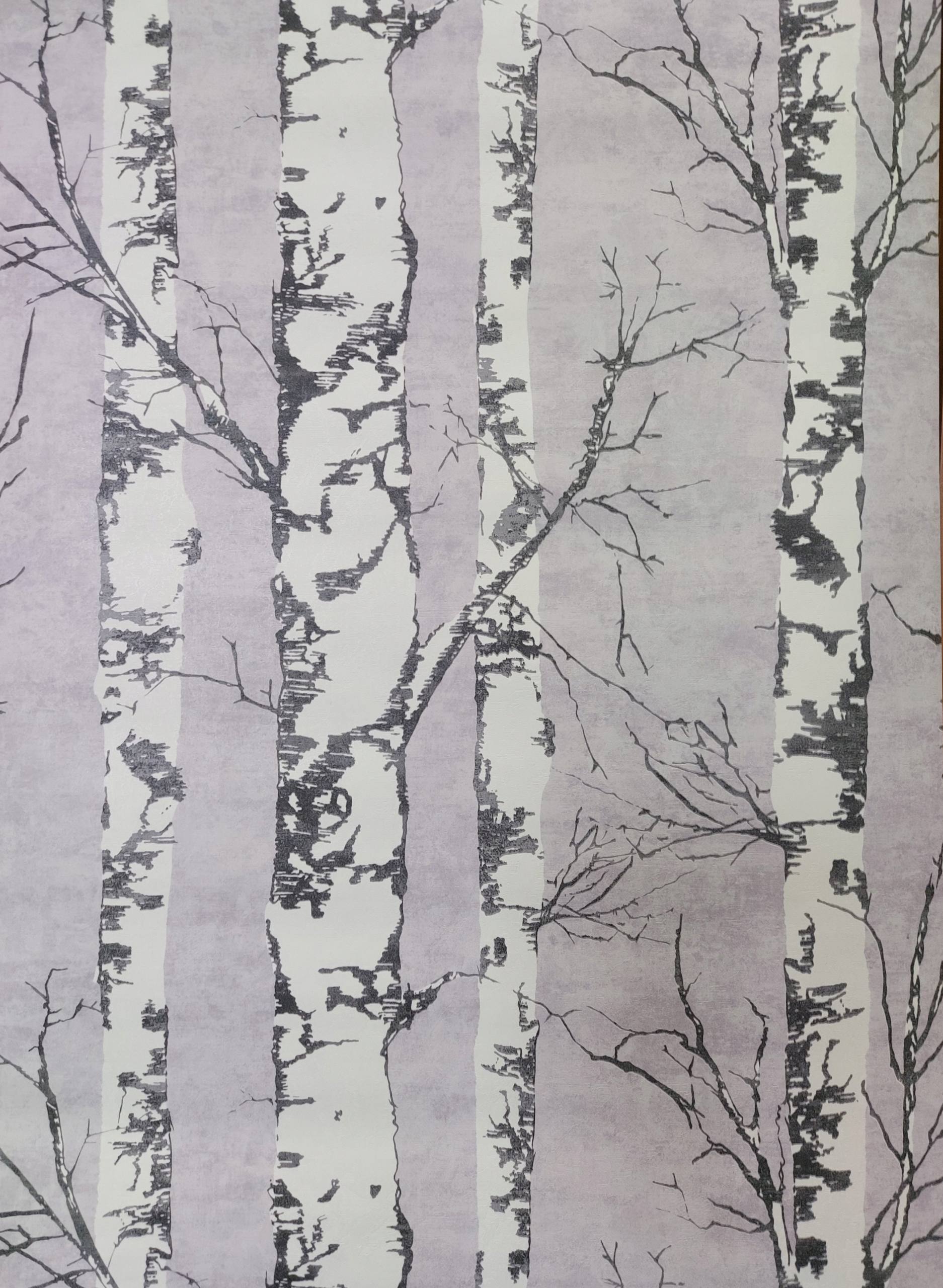 

Tapeta drzewa las YF471001