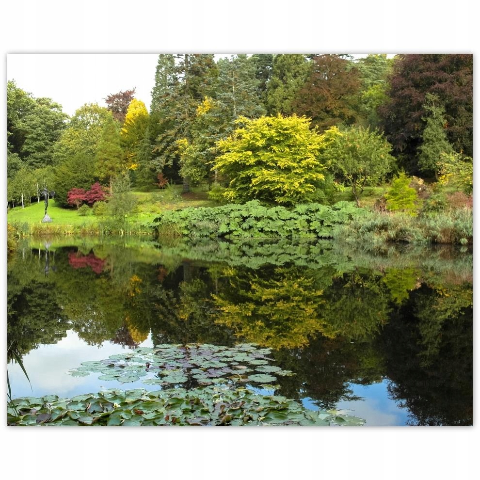 

Plakat 50x40 Parkowe odbicie