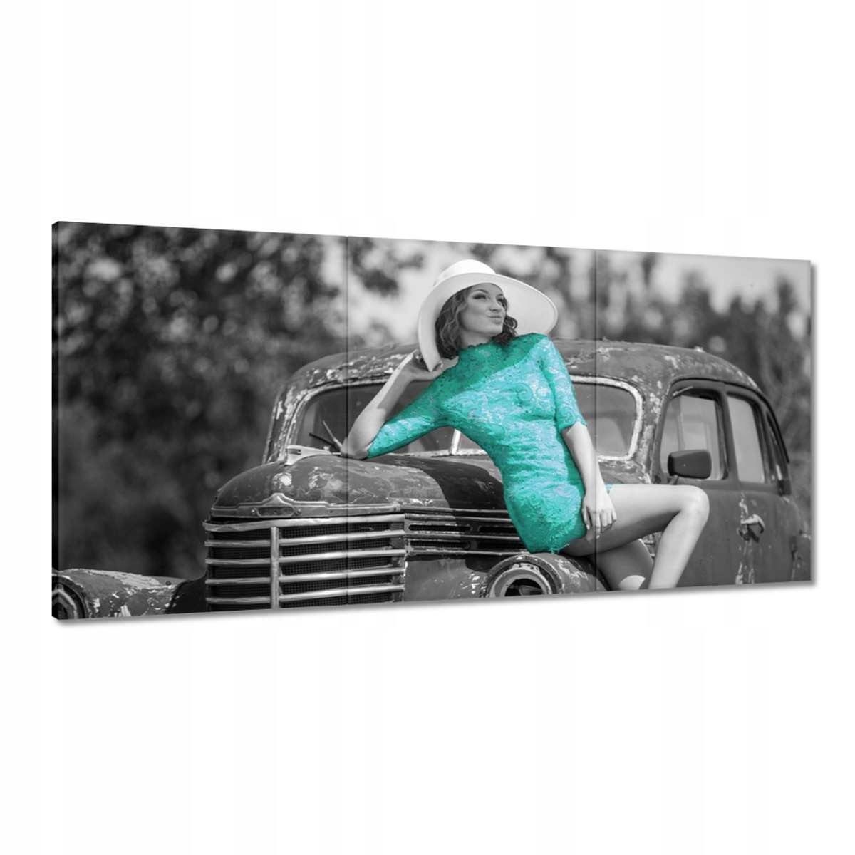 Obrazy 180x90 Palička na vraku