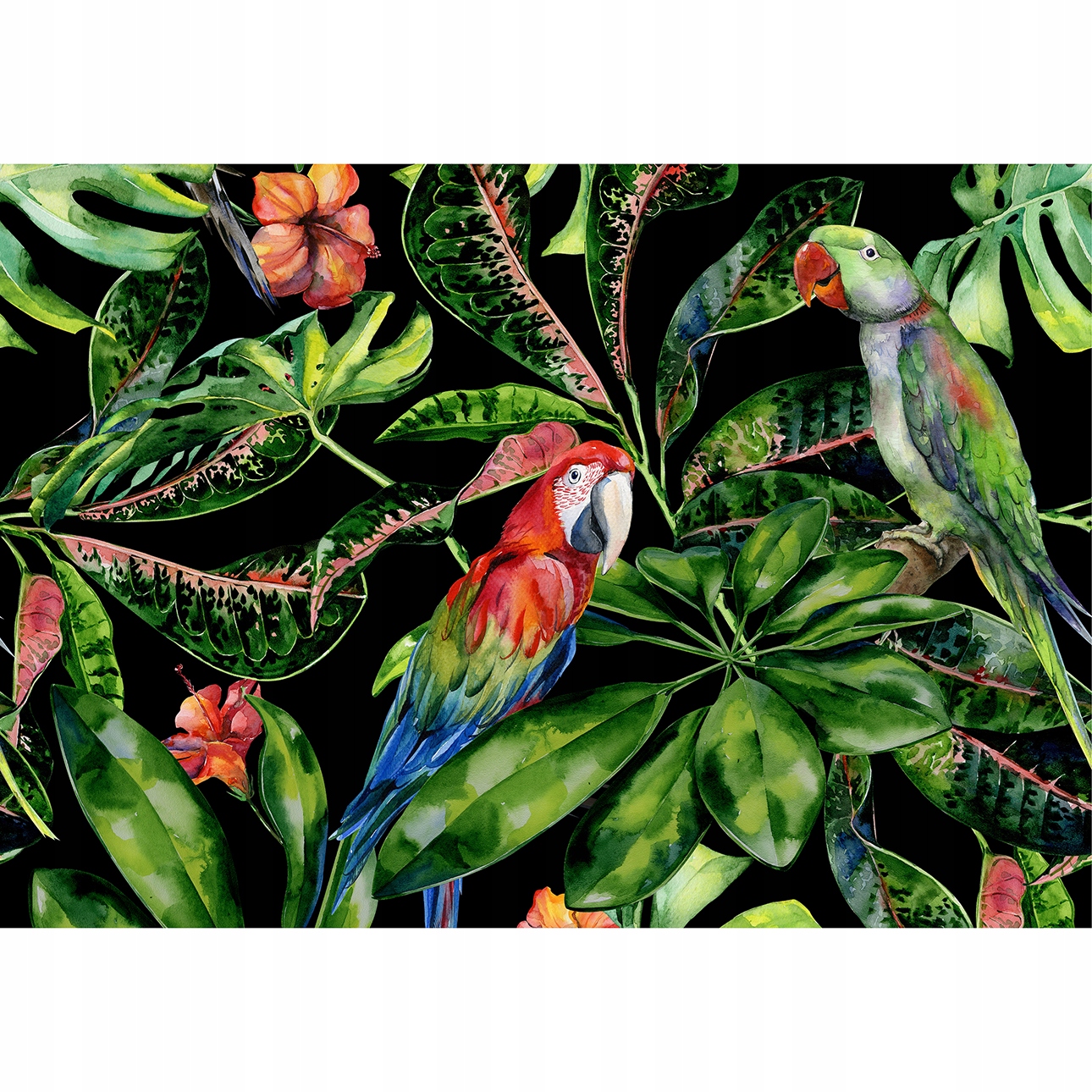 Dekoria Obraz na plátně Tropical Birds 50x35