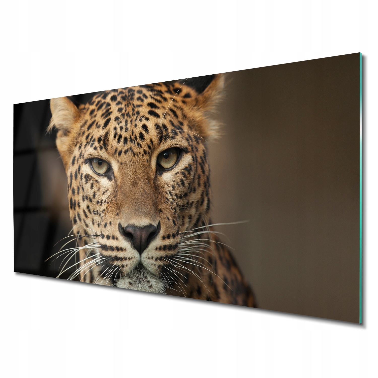 Sklenené foto do kuchyne Leopard škvrnitý 140x70