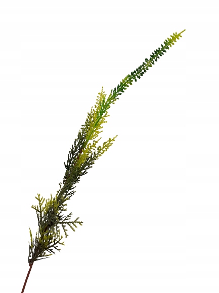 

Wrzos Gałązka wrzosu do bukietu sztuczny Duży 63cm