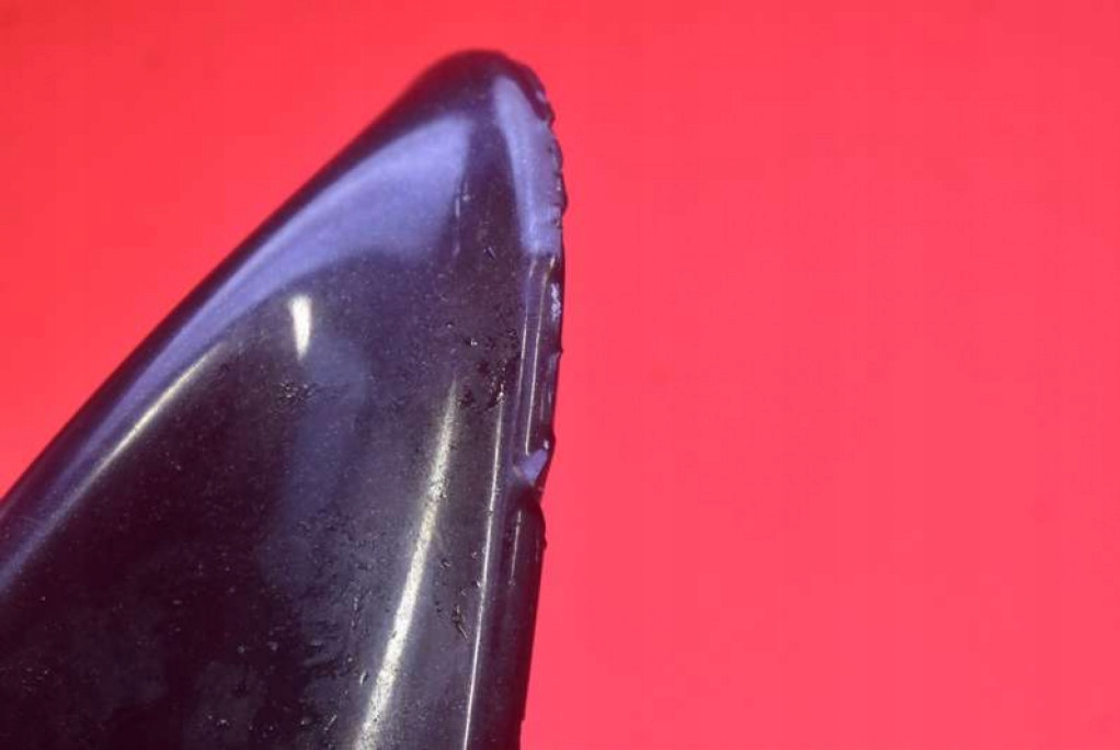 ANTENA PLETWA BMW E60 E61 03-07