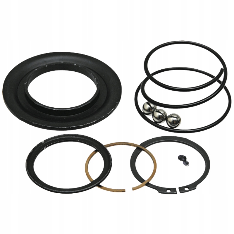 Zamknięcie zapadkowe BONDIOLI & PAVESI