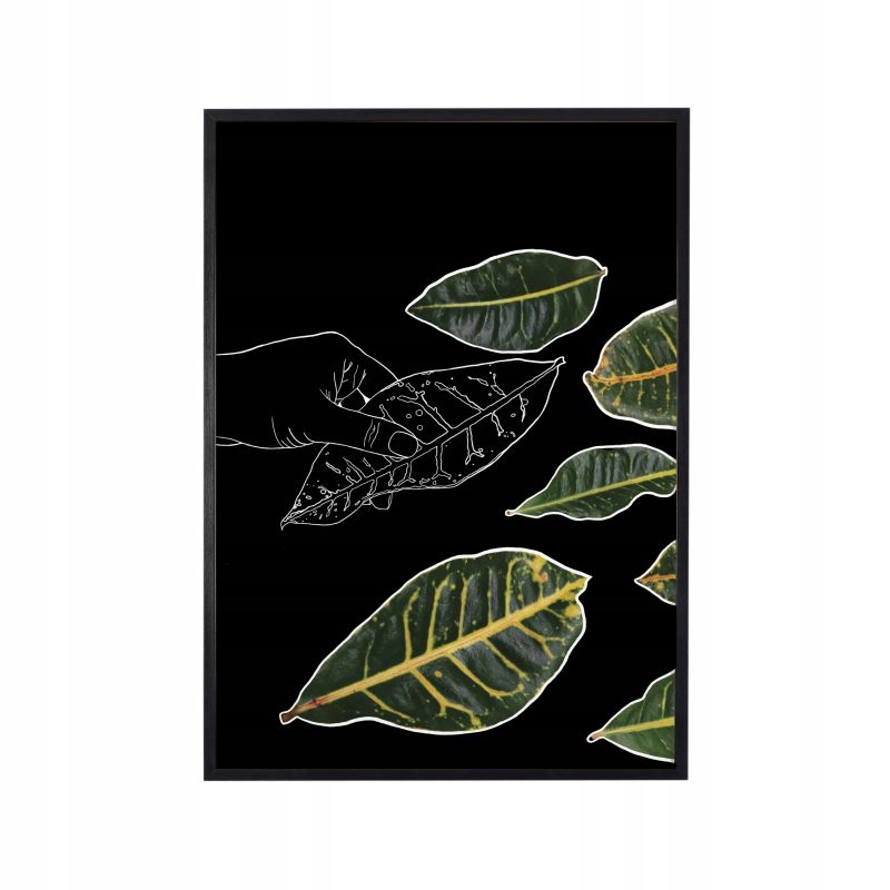 

Plakat w ramie duży 40x60cm leaves black white
