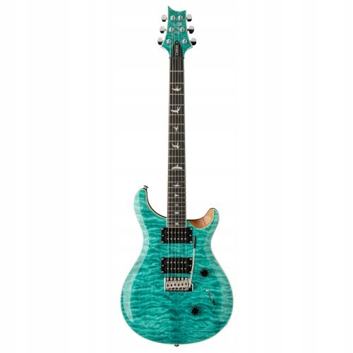 PRS SE Custom24 Paul Reed Smith 美品 Paul Reed Smith [PRS] SE Custom 24 Gray Black “Seymour