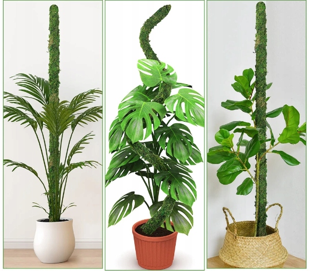 WYTRZYMAŁY GIĘTKI SŁUPEK Z MCHU DO ROŚLIN DONICZKOWYCH 60 CM Kod producenta SŁUPEK Z MCHU DO ROŚLIN DONICZKOWYCH