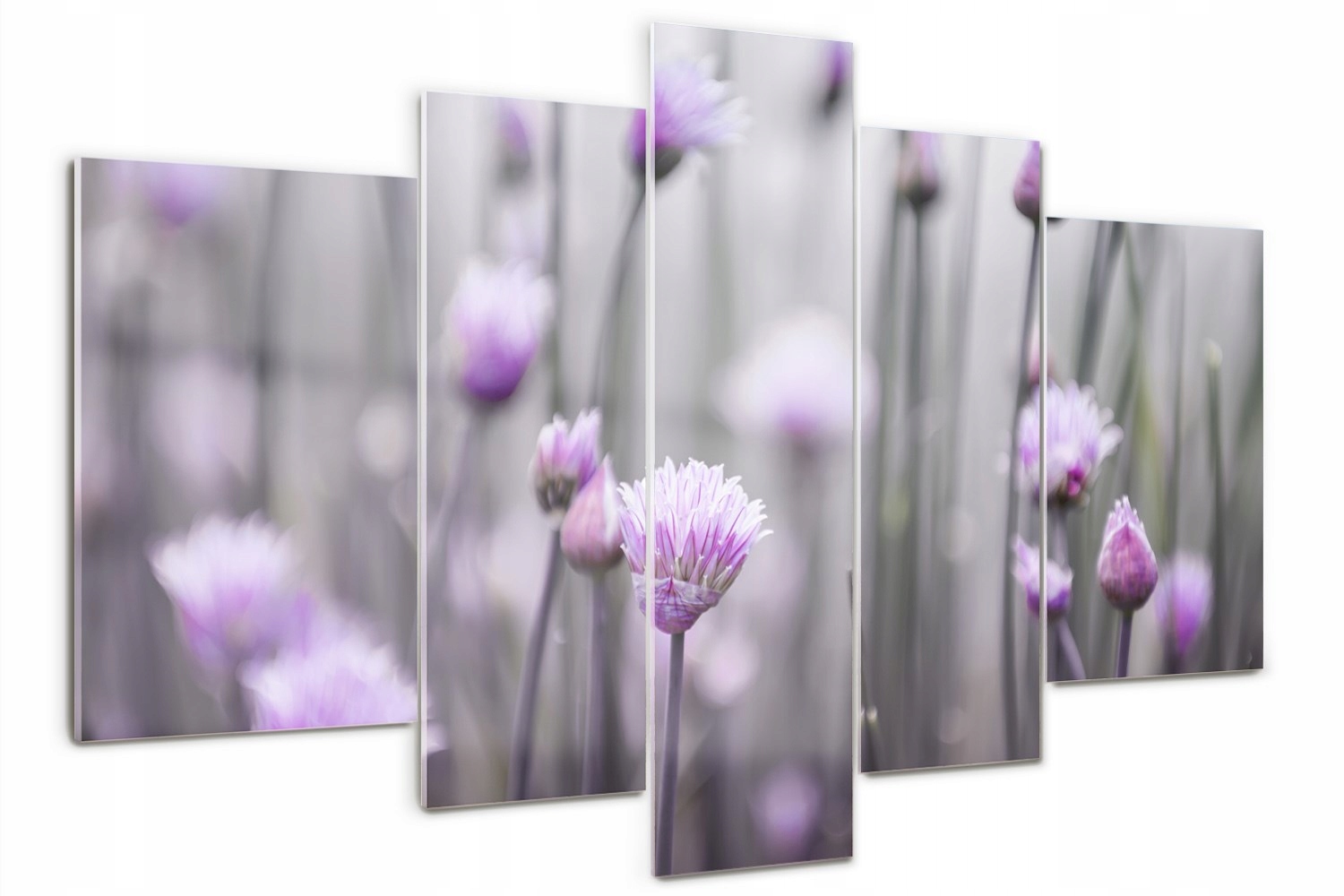 

Foto Obraz szklany tryptyk Kwiaty szczypiorku