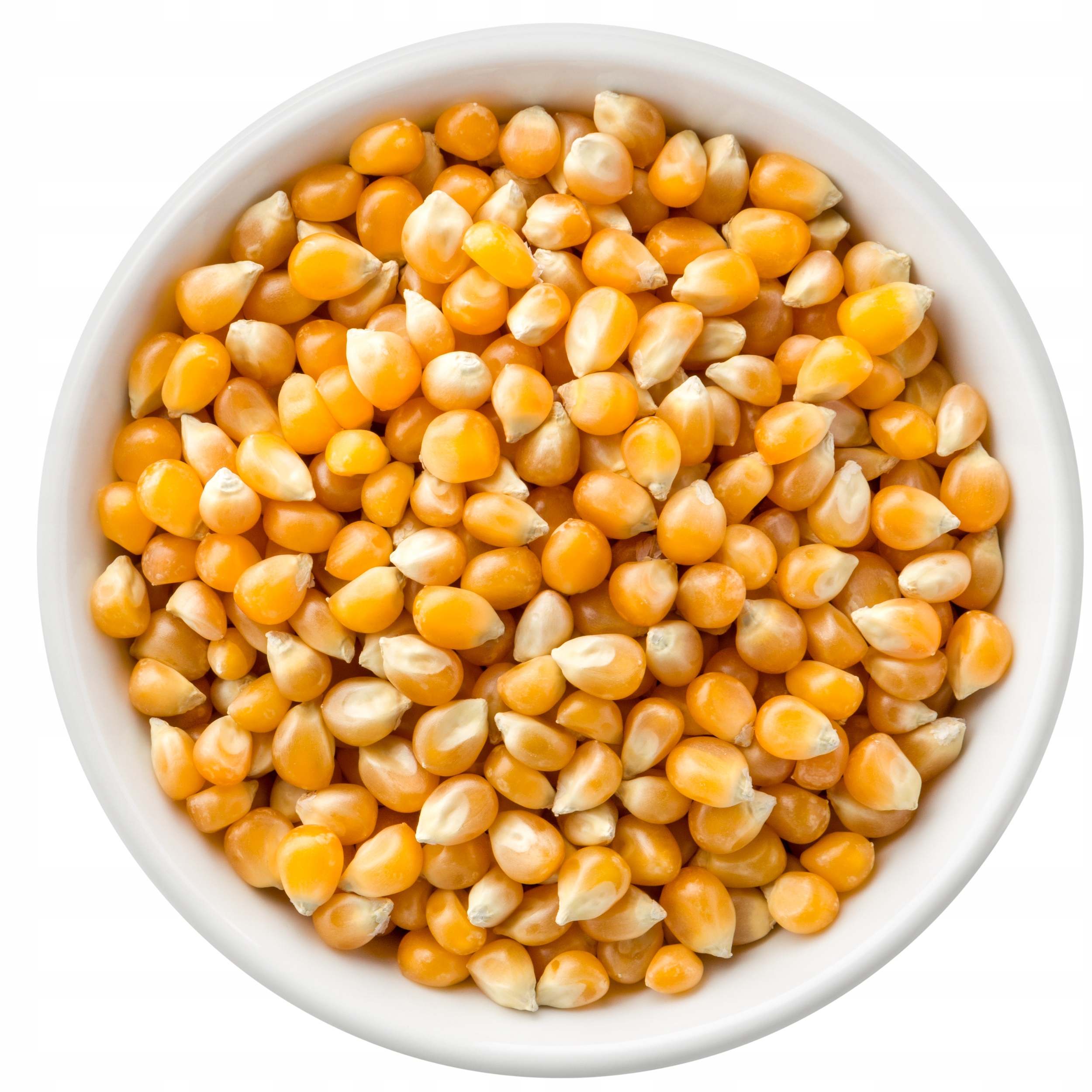 Popcorn 25 Kg Sáček Zrno Kukuřice Na Pražení 25000 G