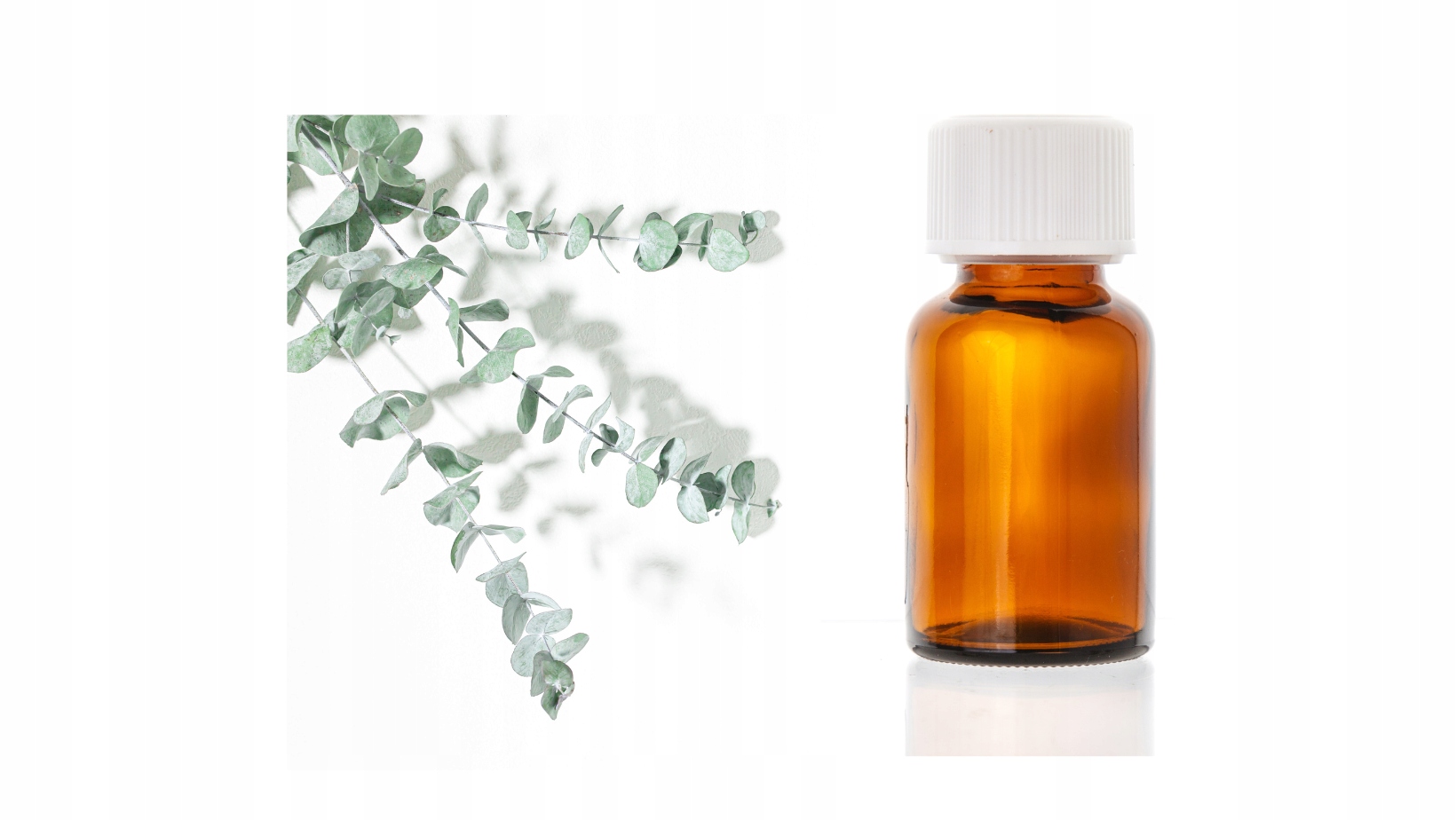 olejek eteryczny eukaliptusowy 30 ml