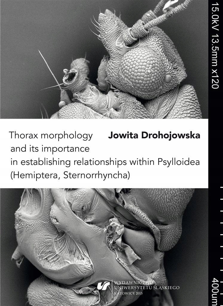 THORAX MORPHOLOGY AND ITS IMPORTANCE...