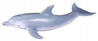 

Delfin Butlonosy