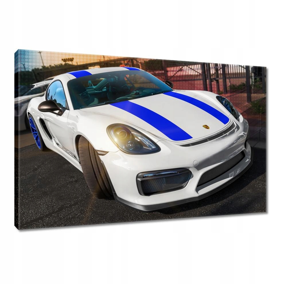 

Obrazy 120x80 Porsche Vayman GT4