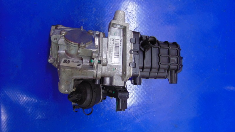 agr-ventil 9821395680 2.0BLUE HDI OPEL VIVARO C III JUMPY EXPERT PROACE