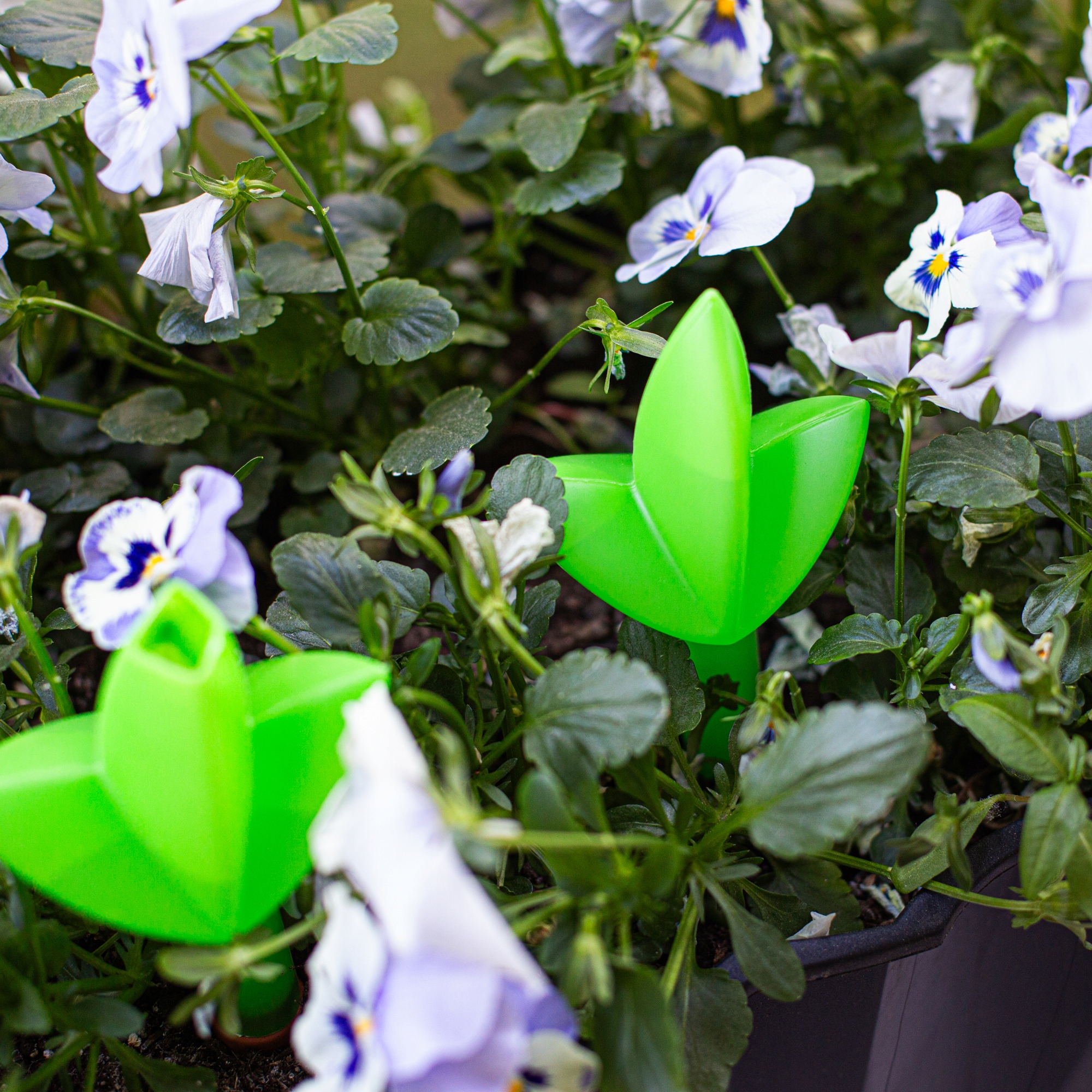 LISTEK NAWADNIAJĄCAY DO PODLEWANIA ROŚLIN 1szt 120 ml ZIELONY Marka Browin