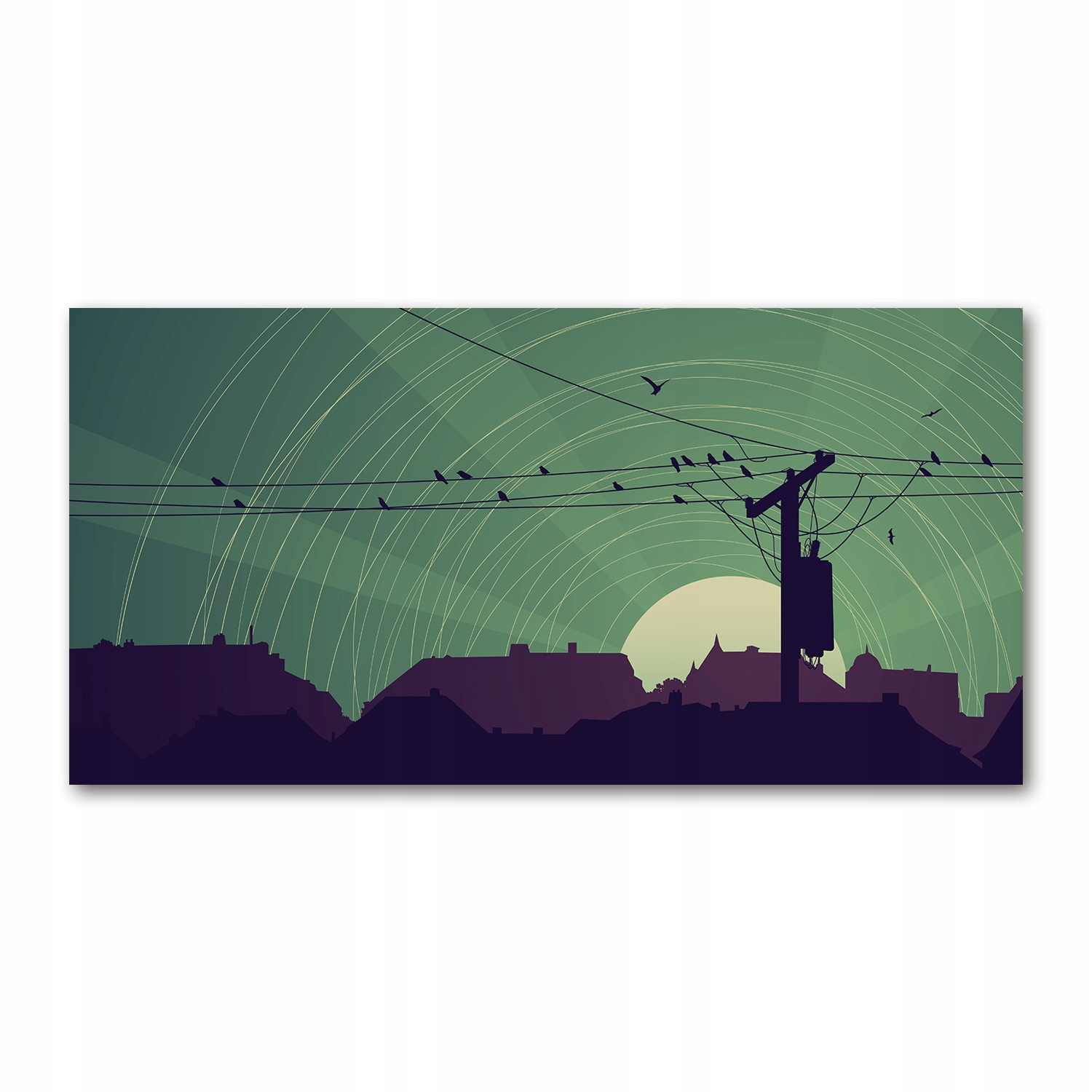 

Foto obraz akryl zdjęcie Ptaki miasto 120X60 cm