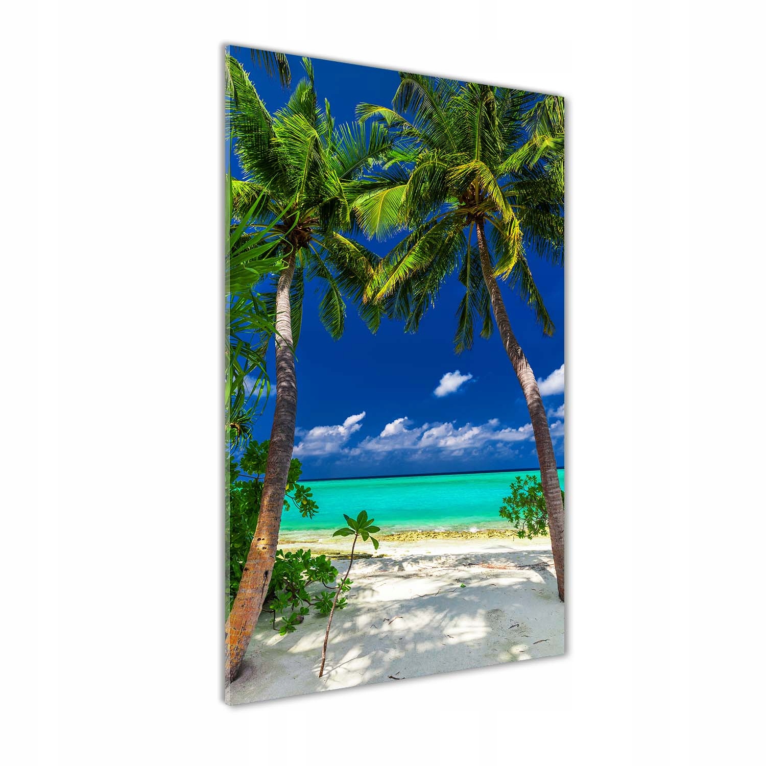 

Foto obraz szkło akrylowe Tropikalna plaża 60x120