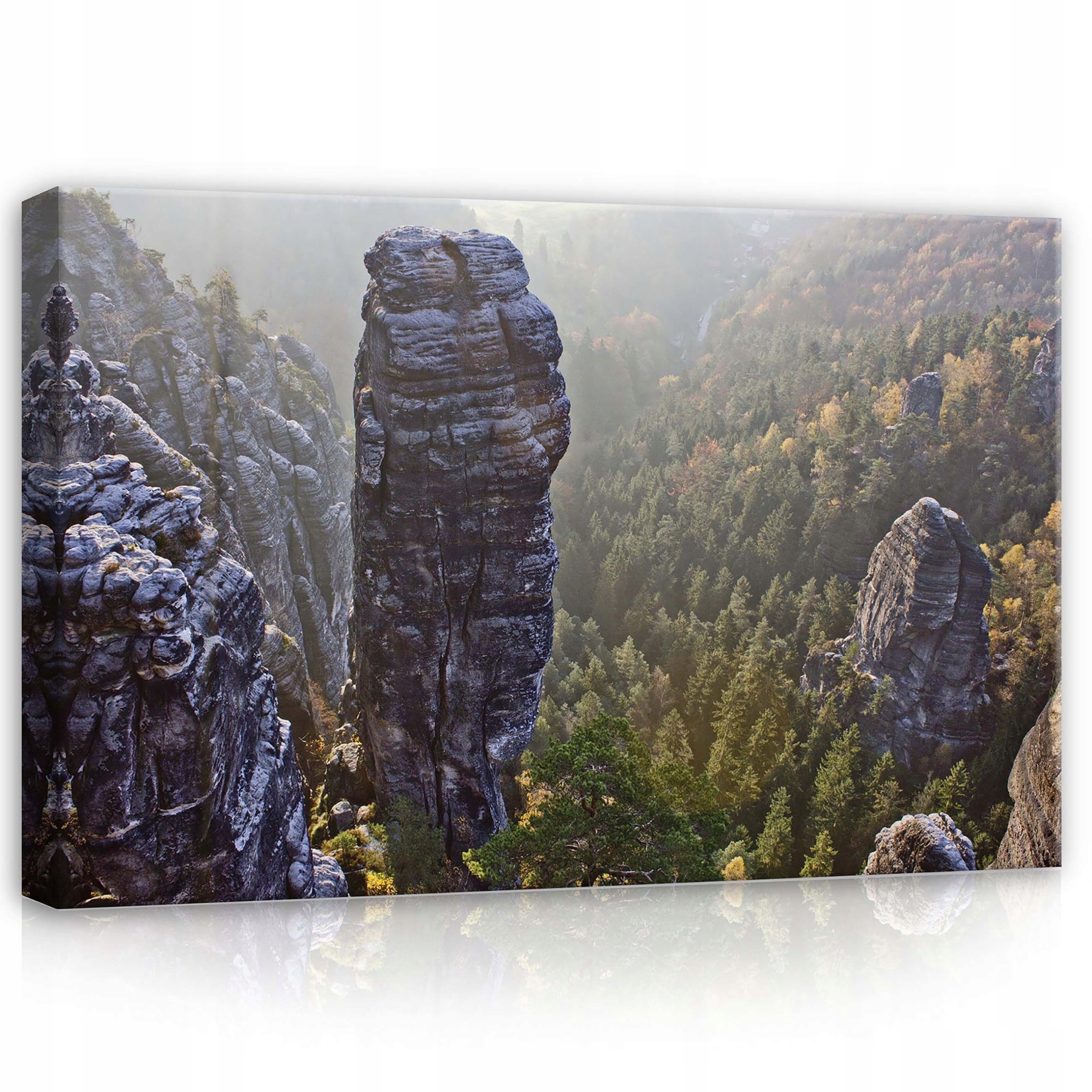 Obraz 70x50 Skály les údolí panorama příroda klid mlha