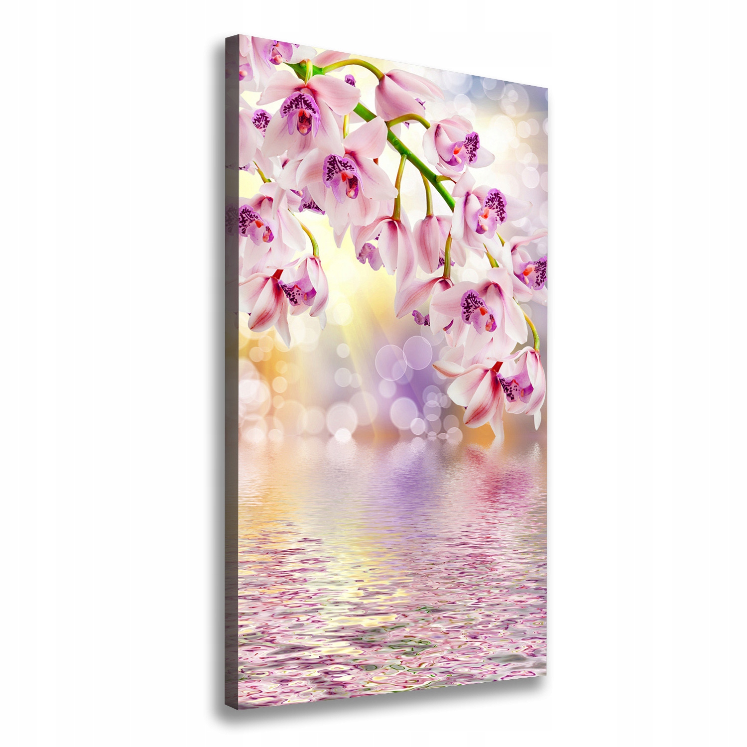 

Foto obraz na płótnie do salonu Orchidea 50x100 cm