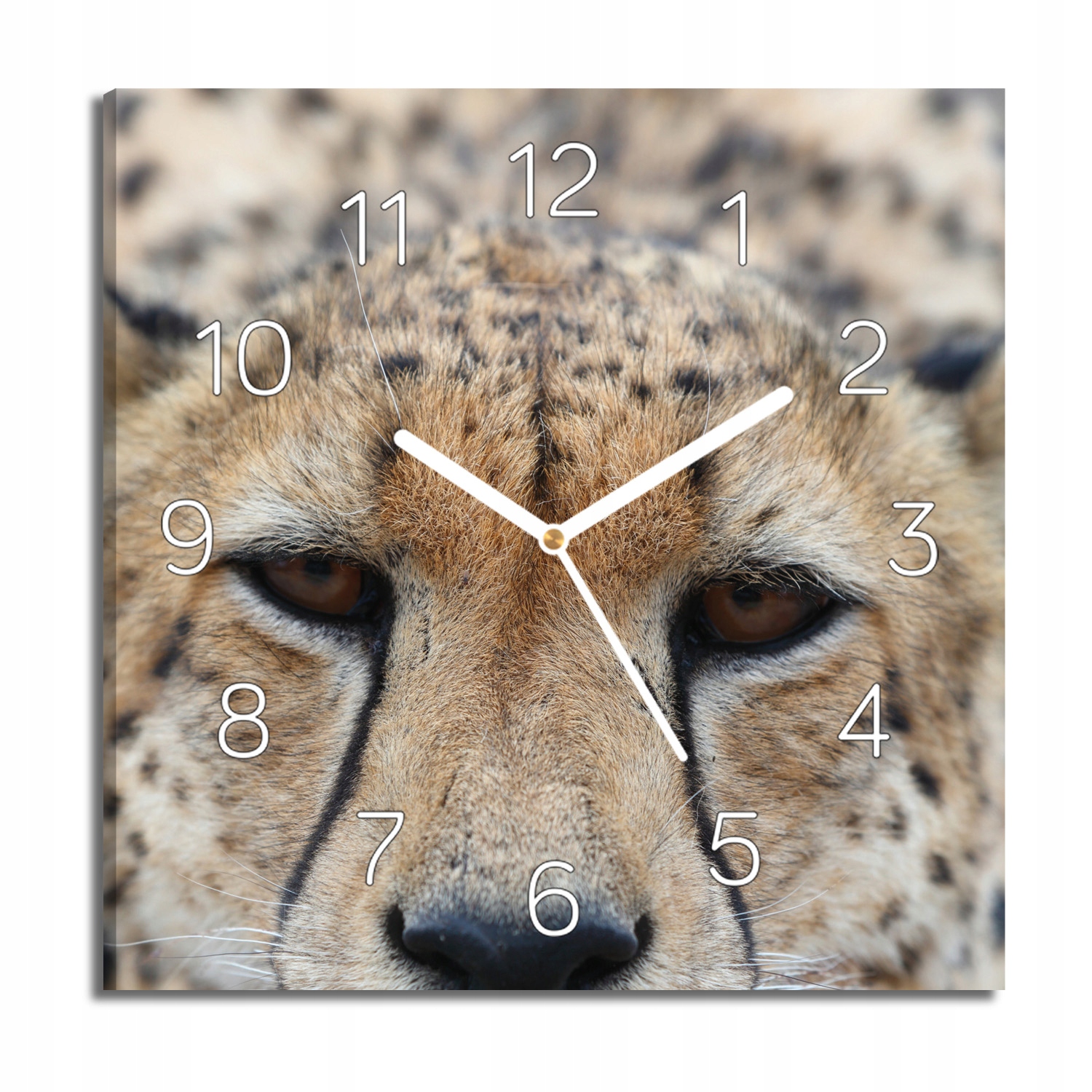 hodiny na plátně Gepard hlava oči 30x30 tiché