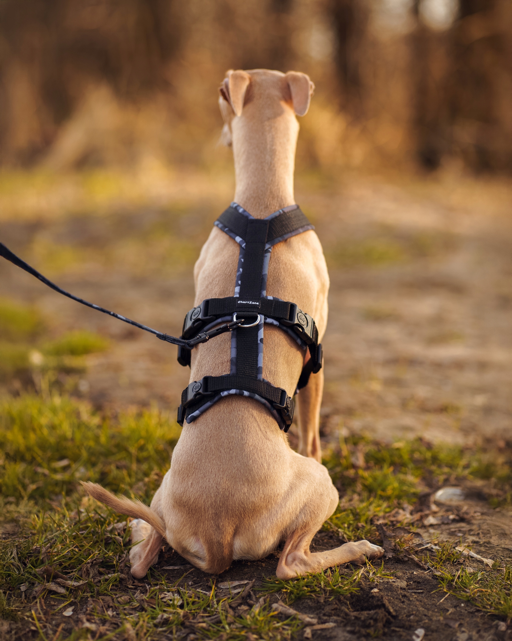 Levně Protiúnikové postroje pro Charta „Black Camo“