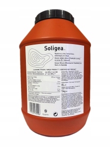 Najlepsze Oliwki Zielone Chalkidiki Z Pestką Soligea Grecja 5KG