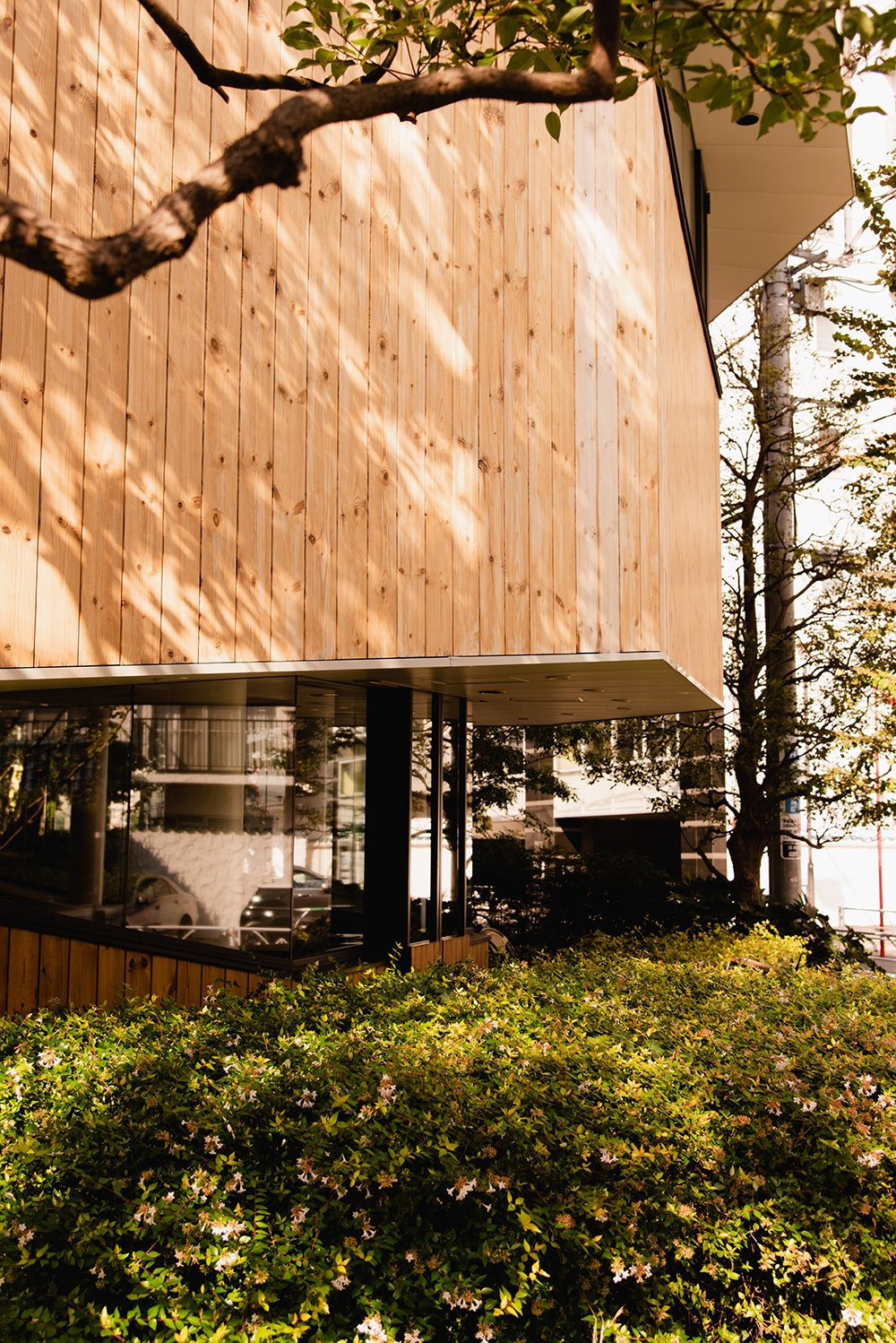 Lazura POLSKI KLIMAT V33 7 lat Dąb Jasny 5L Marka V33