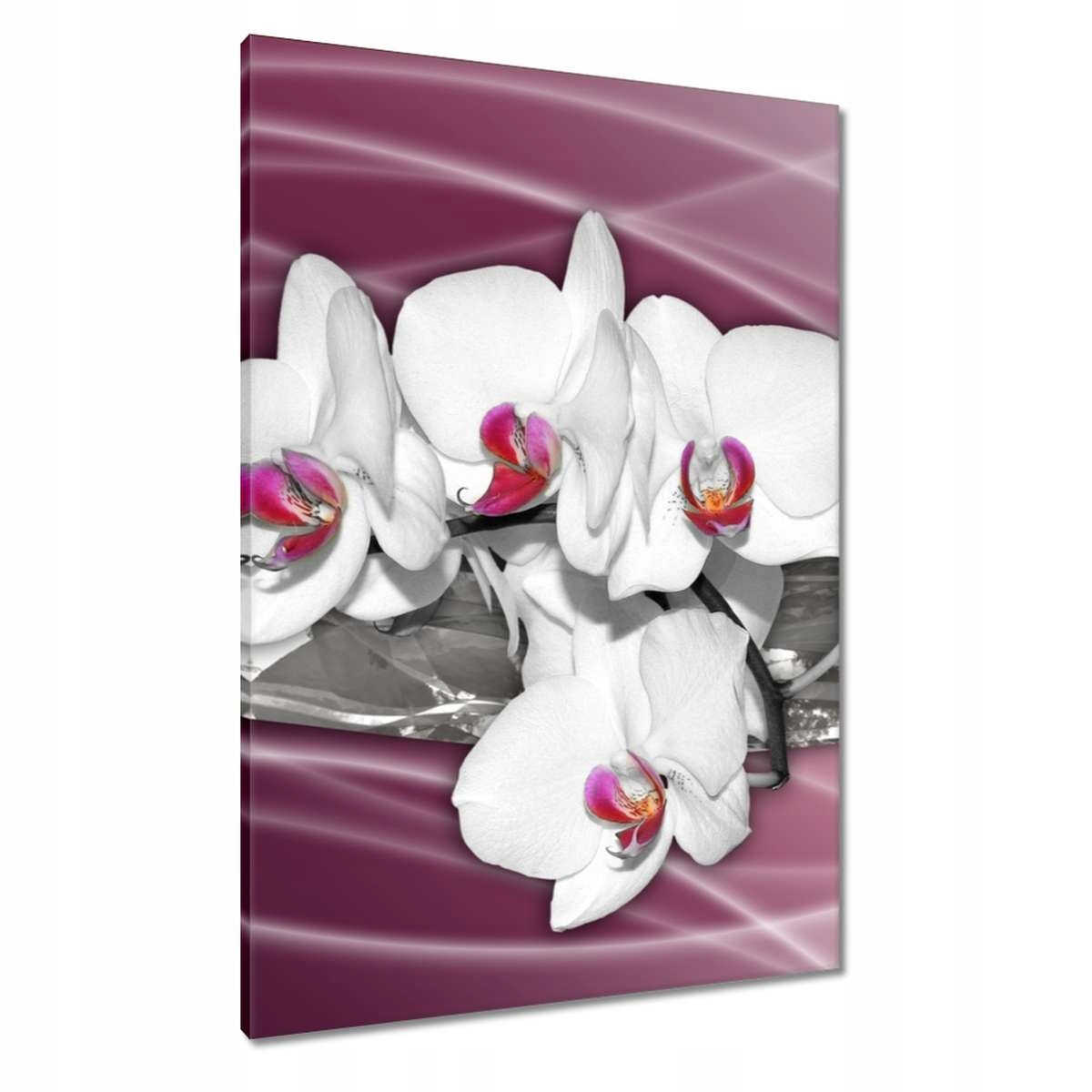 Obrazy 70x100 Orchideje