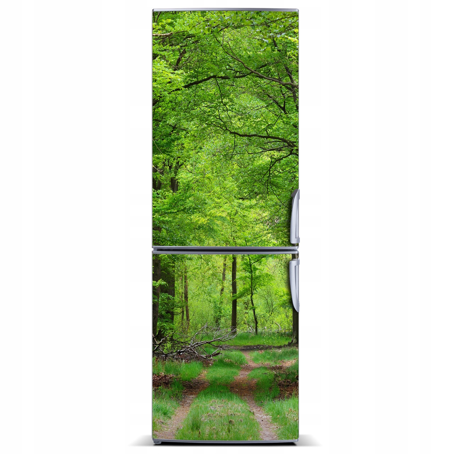 

Naklejka na lodówkę magnetyczna Zielony las 60x180