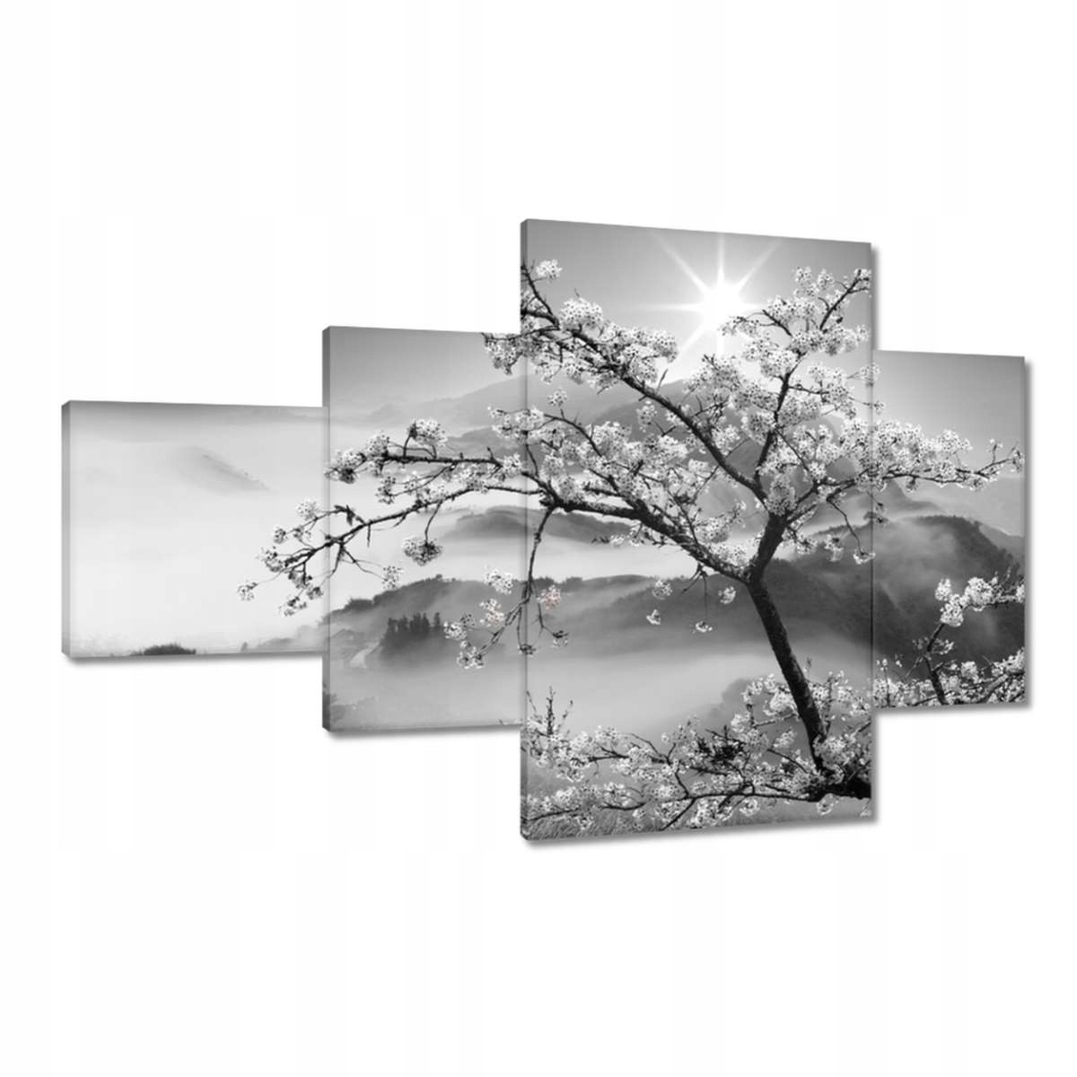 Obrazy 130x80 Kvetoucí višeň Japonsko