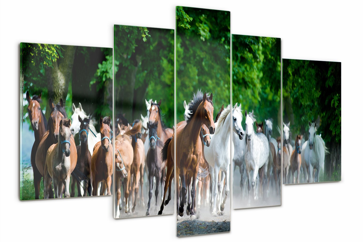 Foto Obraz skleněný velký triptych Cválající koně