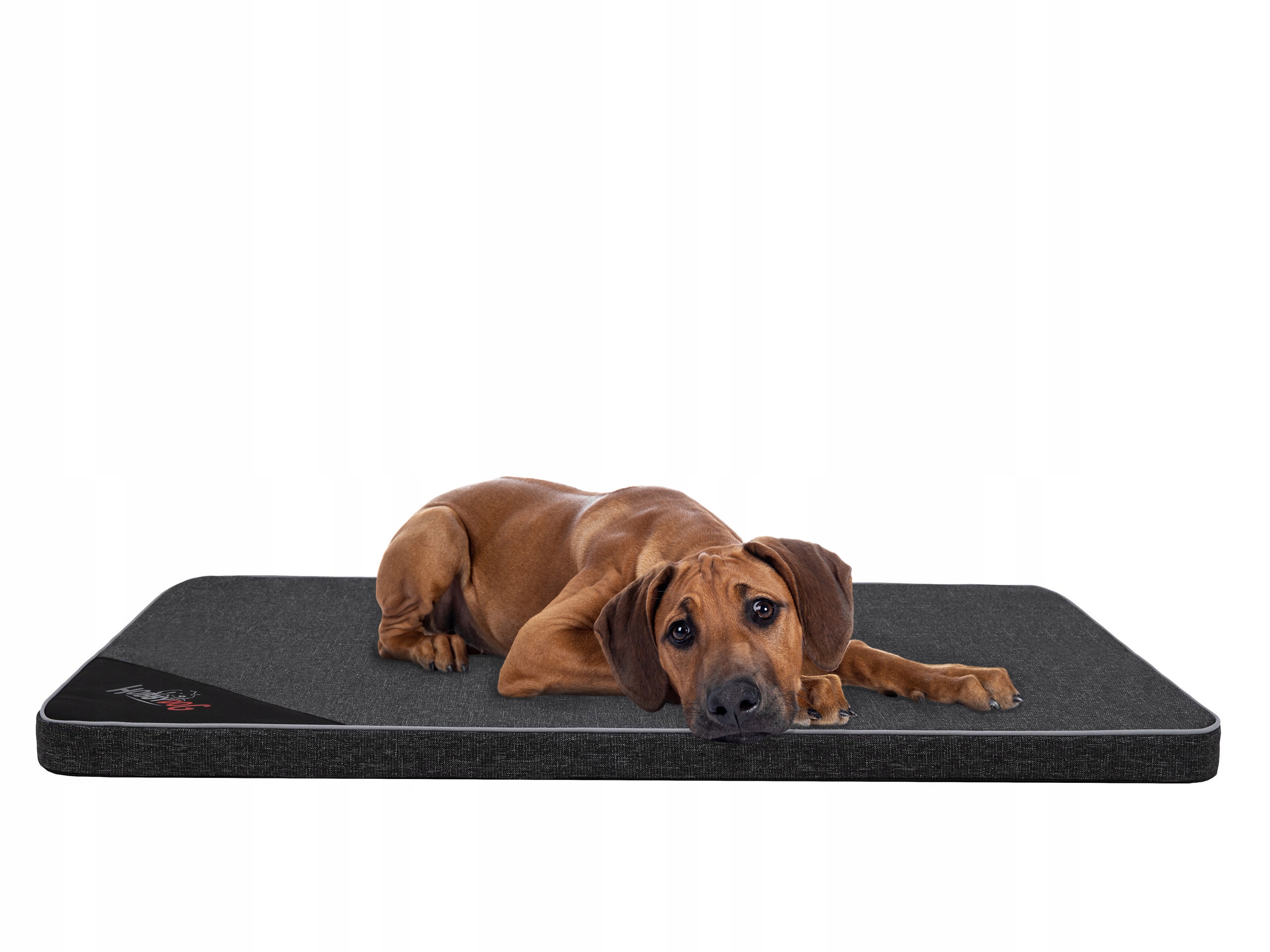 Lehká Matrace , Pelíšek pro psy, psí kotec , M 80x54cm