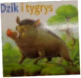 Dzik i tygrys MD Monika Duda - Monika Duda