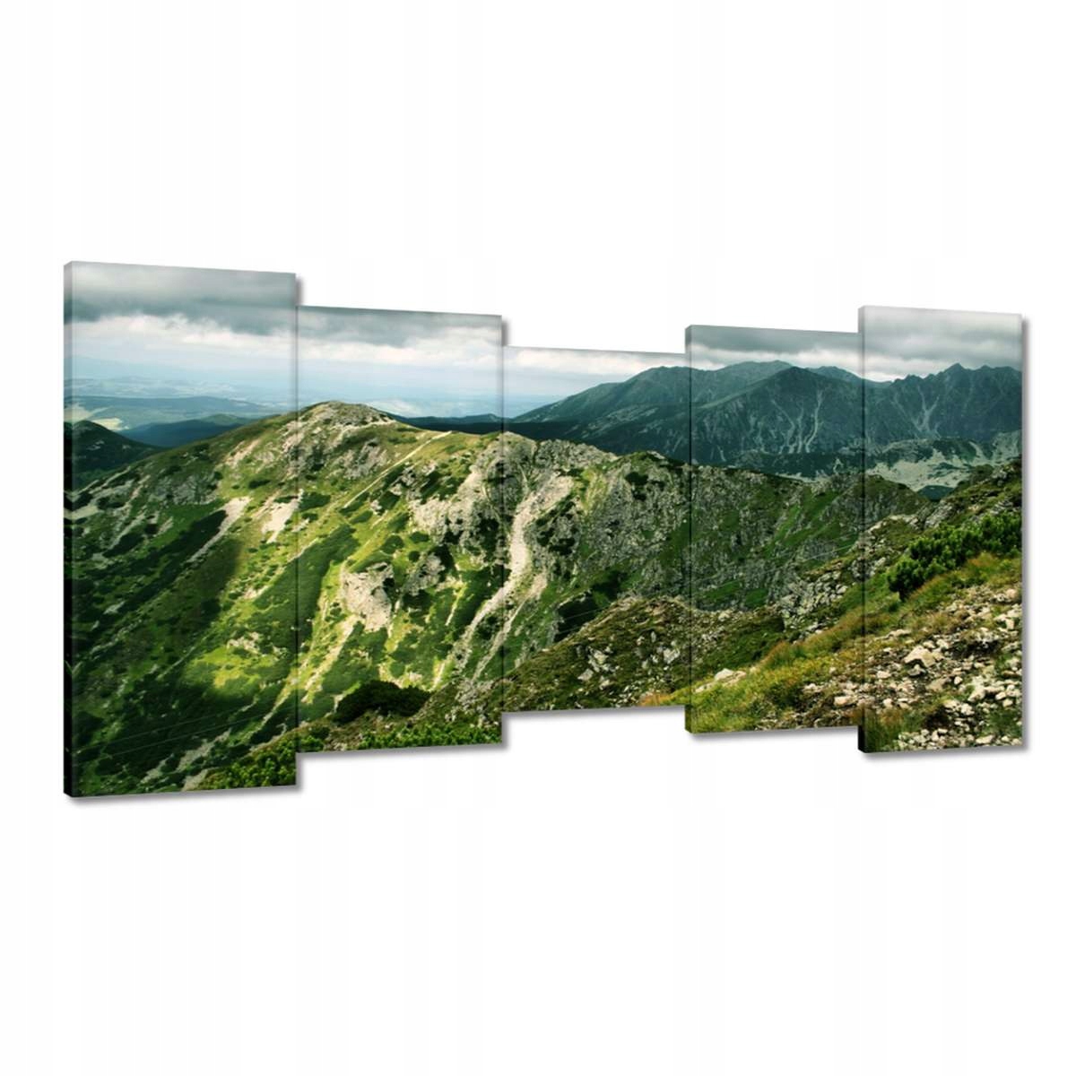 Obrazy 150x80 Tatry Polské hory Pohled