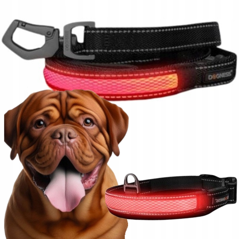Levně Sada Led obojku s nastavitelnou páskou 55 – 70 cm (XL) vodítko (XL) Dogness